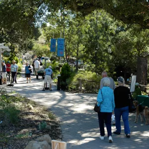 visitors at Garden Entrance, SBBG Community Free Day, October 16 2011