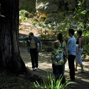Docent tour in the Redwood Section, Community Free Day, October 2011