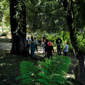 Docent tour in the Redwood Section, Community Free Day, October 2011
