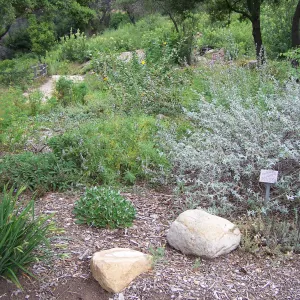 Meadow View planting area