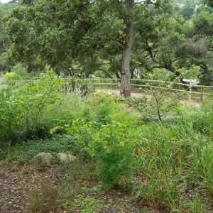 Meadow View planting area