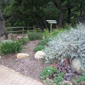 Meadow View planting area