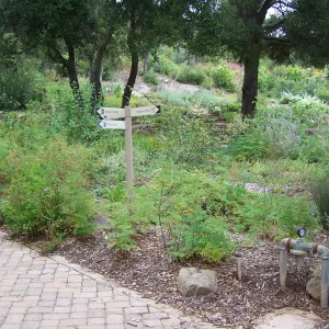 Meadow View planting area