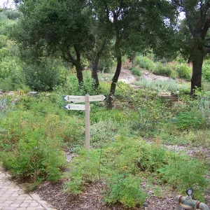 Meadow View planting area