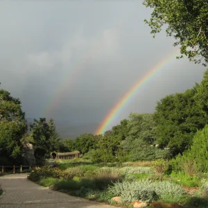 double rainbow over the Meadow, Herb Parker Exhibit, SBBG