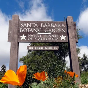 poppies, sign at front entrance, Santa Barbara Botanic Garden
