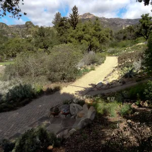 path along east side of Meadow, Santa Barbara Botanic Garden