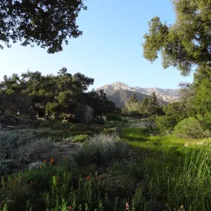 view to the top of the Meadow and La Cumbre Peak, evening sunlight