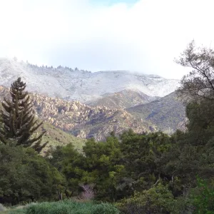 snow on the mountains above the Santa Barbara Botanic Garden