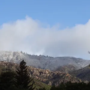 snow on the mountains above the Santa Barbara Botanic Garden