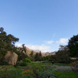 snow on the mountains, John Wardlaw photographer, early morning in the Meadow, Santa Barbara Botanic Garden