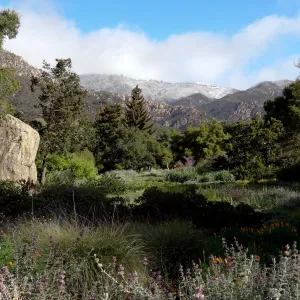 snow on the mountains, Blaksley Boulder, Meadow, Santa Barbara Botanic Garden
