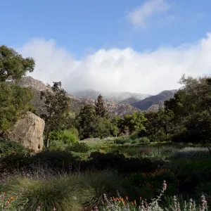 snow on the mountains, Blaksley Boulder, Meadow, Santa Barbara Botanic Garden