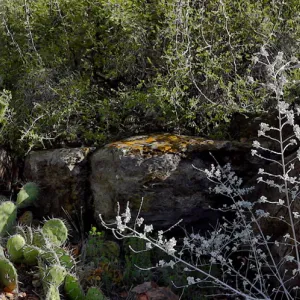 panorama, Desert Section, Santa Barbara Botanic Garden