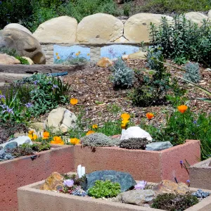 new trough gardens, Meadow View Display, mosaic by Patty Jacquemain on new stone bench