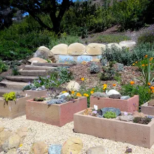 new trough gardens, Meadow View Display, mosaic by Jacquemain on new stone bench