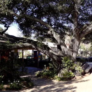 garden entrance, Gift Shop, panorama