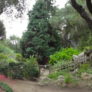 Arroyo Section, entrance to Tea House garden, panorama