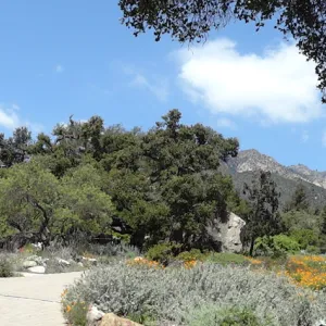 view of Meadow to the mountains, panorama