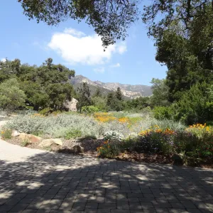 view of Meadow to the mountains, 