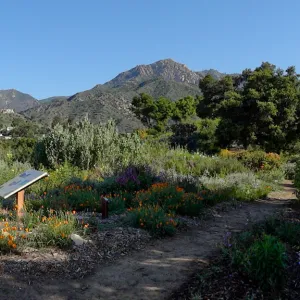 Porter Trail, view to La Cumbre Peak, panorama