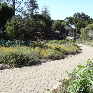 lower Meadow, view to Gift Shop and Blakelsy Library
