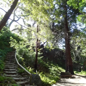 Indian Steps, Redwood Section