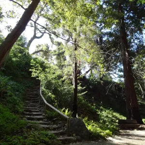 Indian Steps, Redwood Section