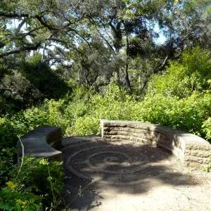 stone spiral bench, Canyon Trail, 3 years after the Jesusita Fire