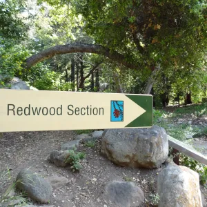 Redwood Section sign