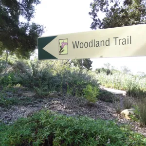 Woodland Trail sign