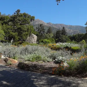 view of Meadow from entrance oak, panorama