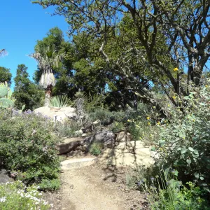 Desert Section