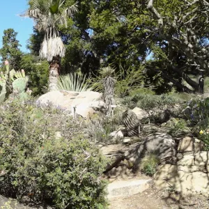 Desert Section, panorama