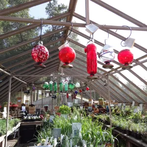 bird feeders on display, SBBG Spring Plant Sale 2012