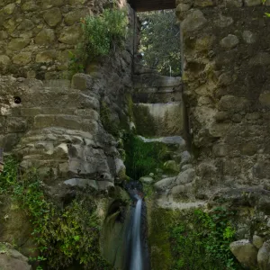 Mission Dam Waterfall, third place winner, Garden Postcard category, SBBG Photo Contest 2012