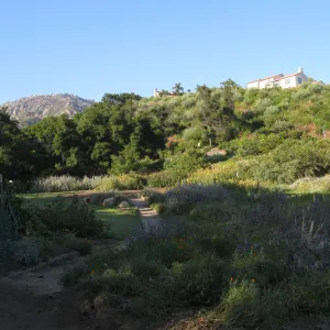 Looking east across upper Meadow to Maloy house on ridge