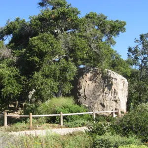 Blaksley Boulder