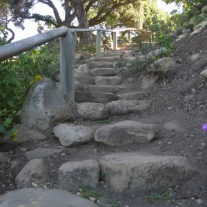 Steps down Campbell Trail