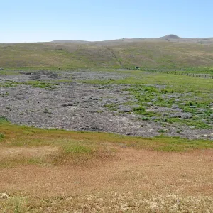 Soda Lake Road, south end of Carrizo Plain