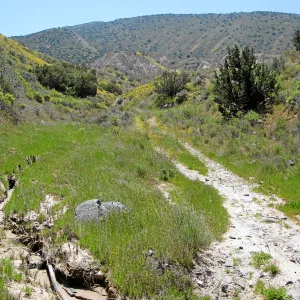 Padrones Canyon, Carrizo Plain