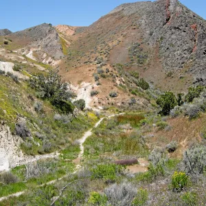 Padrones Canyon, Carrizo Plain