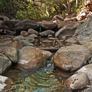 Mission Creek, National Public Gardens Day, tour at SBBG