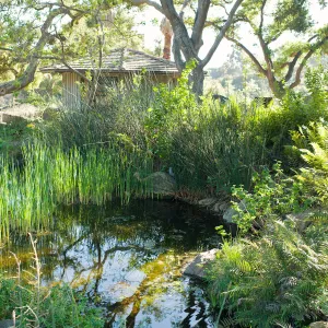 SBBG Spring 2012, Â©ZstheDayPhotography