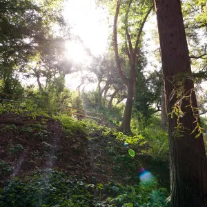 SBBG Spring 2012, Â©ZstheDayPhotography
