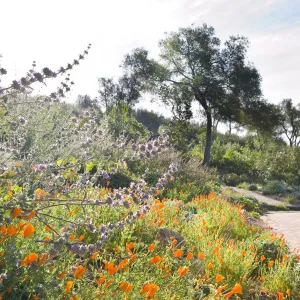 SBBG Spring 2012, Â©ZstheDayPhotography