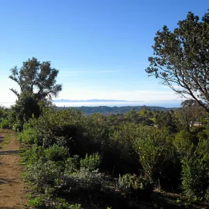Island view from Porter Trail