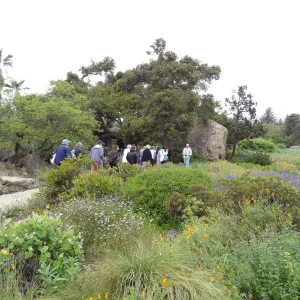 Docent Tours in the Garden, National Public Gardens Day 2012, SBBG