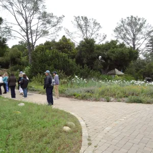 Docent Tours in the Garden, National Public Gardens Day 2012, SBBG