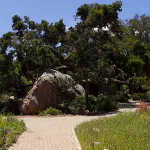 Blaksley Boulder, Meadow panorama